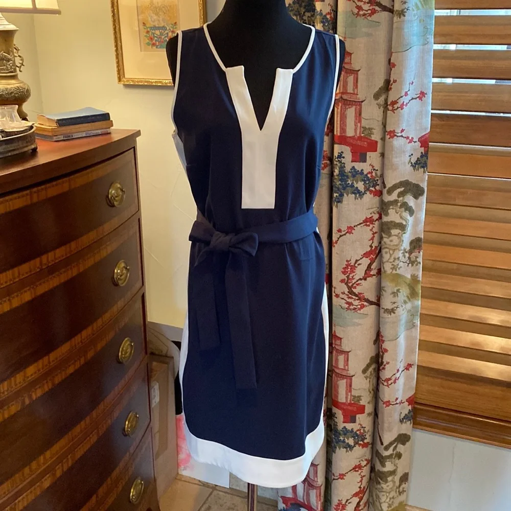 Ann Taylor Large Sleeveless Dress - Picture 1 of 5